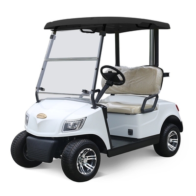Harga terjangkau 2 kursi Golf Buggy Kereta dengan ban jalanan lembut dan operasi mudah DC-M2